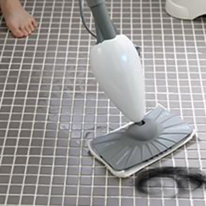 Classic Steam Mop